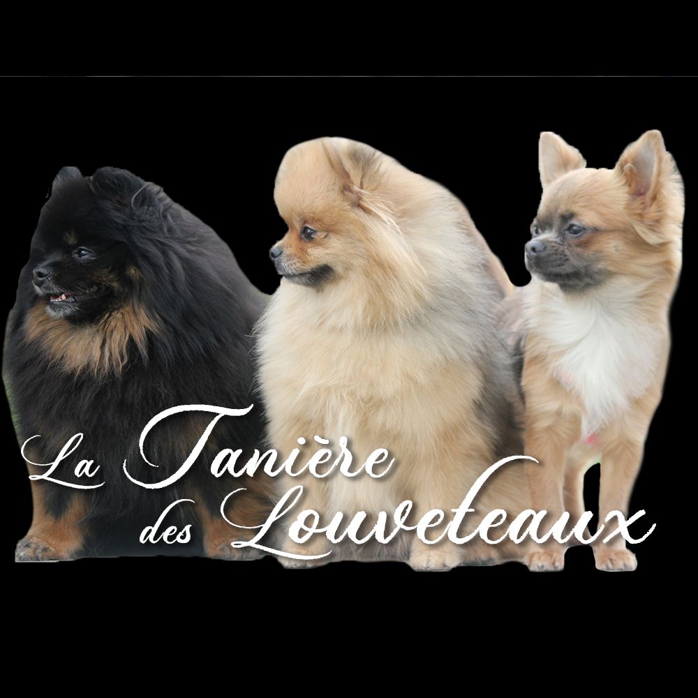 de la taniére des louveteaux - Rejoignez nous !